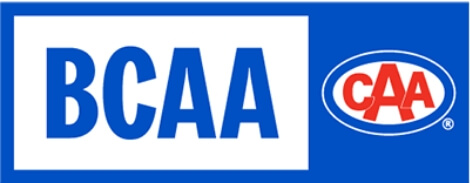 logo bcaa